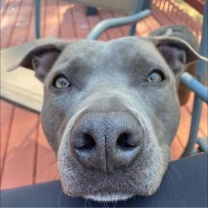 Meet your Posher, Catherine